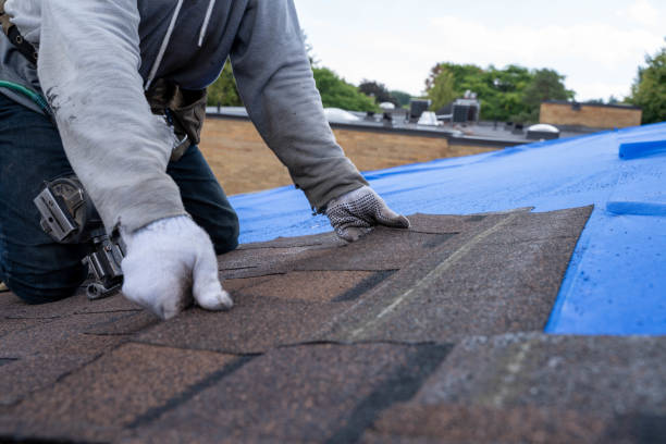 Professional Roofing Contractor in Rineyville, KY