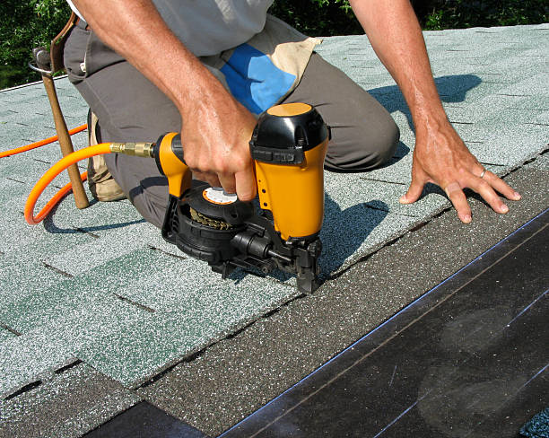 Best Storm Damage Roof Repair  in Rineyville, KY