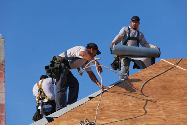 Best Roof Gutter Cleaning  in Rineyville, KY