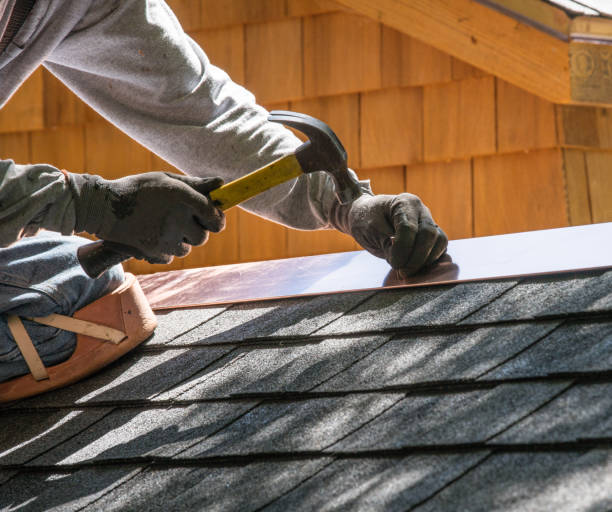 Best Roof Repair Specialists  in Rineyville, KY